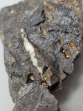 Canadian Opal In Matrix~ Burns Lake, B.C.
