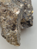 Canadian Opal In Matrix~ Burns Lake, B.C.