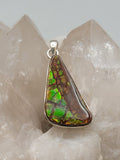 Canadian Ammolite Pendant Set in .925 Sterling Silver