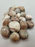 Canadian Vesuvianite & Grossular Garnet Tumble Bugaboos, B.C.