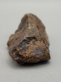 Canadian Chalcopyrite~ Tofino, B.C.