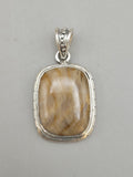 Canadian Petrified Wood Pendant Set in .925 Sterling Silver