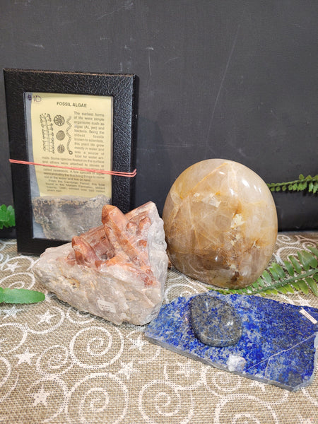 16847 October 10th 2025 Live