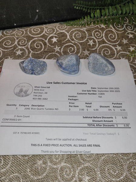 15809 September 20th 2025 Live