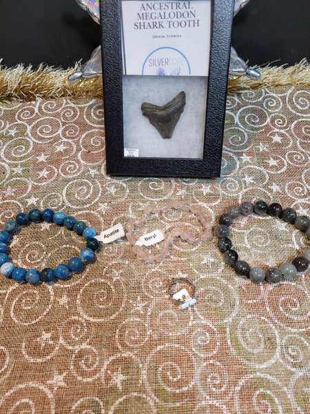 16343 December 6th CGY Gem show