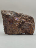 Canadian Chalcopyrite~ Tofino, B.C.