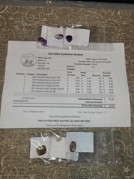 16535 August 22nd Edmonton Live Show 2025