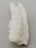 Ram Horn Selenite