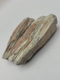 Canadian Petrified Wood Fish Lake, NWT