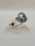 Eye Of Odin Sapphire (Lightly Oiled)