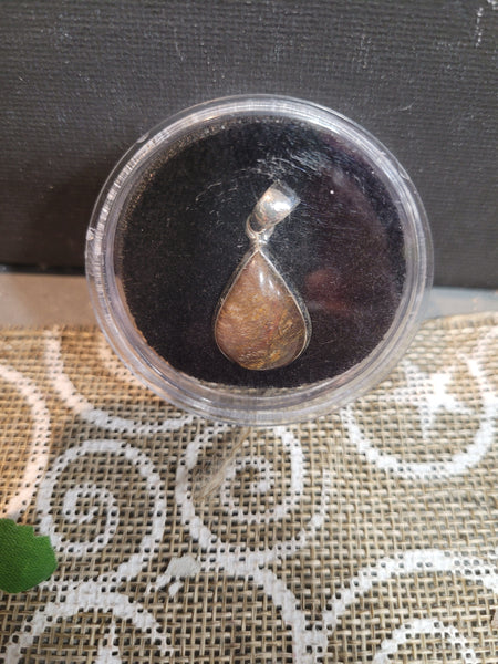 16343 November 3 Live