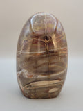 Petrified Wood Free Form