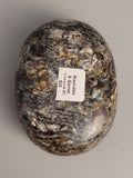 Canadian Staurolite & Garnet Palm Stone Kinbasket, B.C.