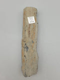 Canadian Petrified Wood Fish Lake, NWT