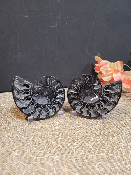 16133 July 20th 2025 Live