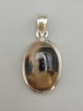 Canadian Petrified Wood Pendant Set in .925 Sterling Silver