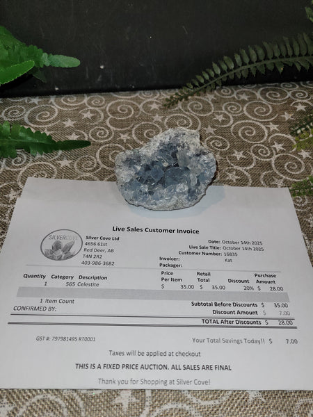 16835 October 14th 2025 Live