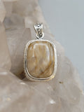 Canadian Petrified Wood Pendant Set in .925 Sterling Silver