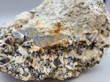 Eye Of Odin Sapphire Specimen