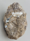Canadian Opal In Matrix~ Burns Lake, B.C.