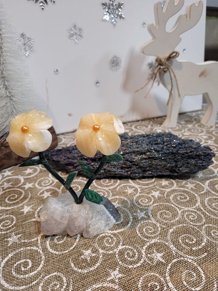 16322 April 2nd 2025 Live