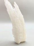 Ram Horn Selenite