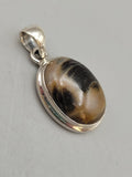 Canadian Petrified Wood Pendant Set in .925 Sterling Silver