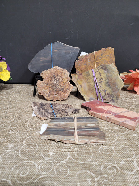 16817 July 18th 2025 Live