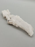 Ram Horn Selenite
