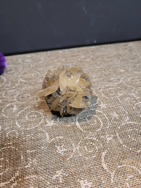 15254 April 19th 2025 Live