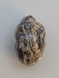 Canadian Staurolite & Garnet Skull Carving Kinbasket, B.C.