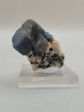 Eye Of Odin Sapphire (Lightly Oiled)