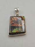 Canadian Ammolite Pendant Set in .925 Sterling Silver
