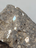 Canadian Opal In Matrix~ Burns Lake, B.C.