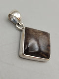 Canadian Petrified Wood Pendant Set in .925 Sterling Silver