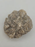 Canadian Gypsum Desert Rose~ Winnipeg, MB