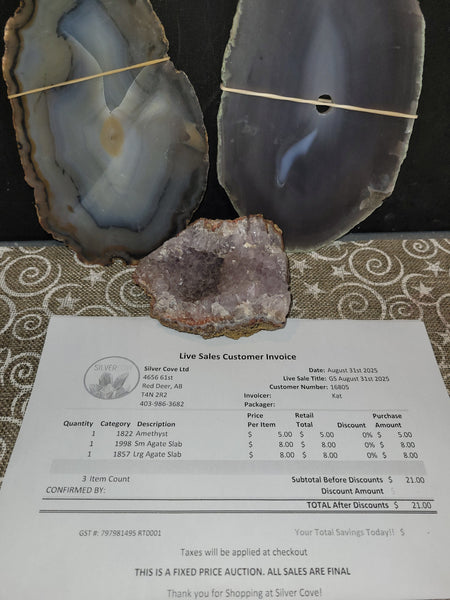 16805 Garage Sale August 31st 2025 Live