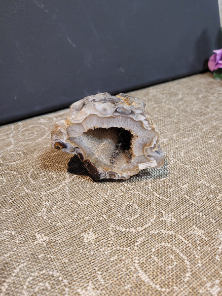 16751 April 25th 2025 Live