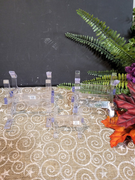 10199 October26th 2025 Live