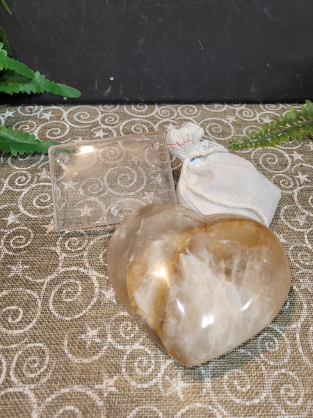 15254 October 10th 2025 Live