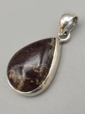 Canadian Petrified Wood Pendant Set in .925 Sterling Silver