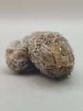 Canadian Gypsum Desert Rose~ Winnipeg, MB