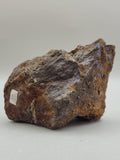 Canadian Chalcopyrite~ Tofino, B.C.