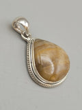 Canadian Petrified Wood Pendant Set in .925 Sterling Silver