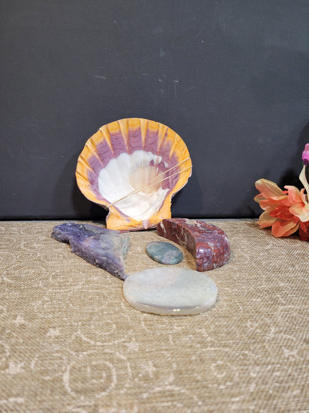 16805 June 28th 2025 Live