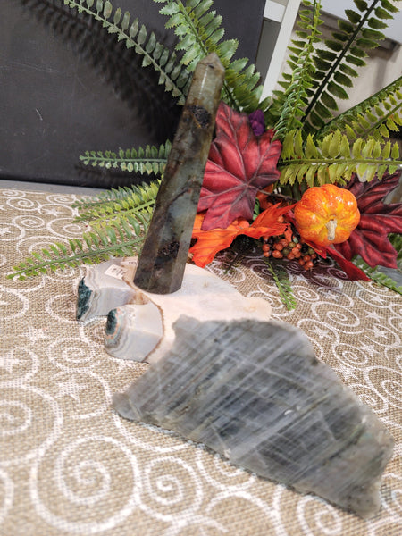 16805 October 3rd 2025 Live