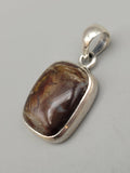 Canadian Petrified Wood Pendant Set in .925 Sterling Silver