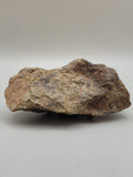 Canadian Chalcopyrite~ Tofino, B.C.