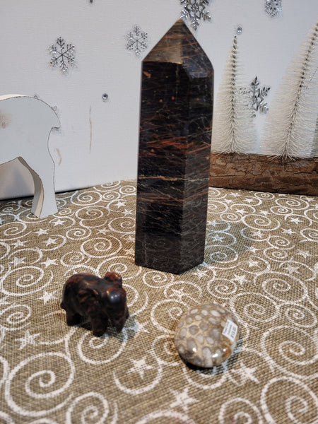 15809 March 22nd 2025 Live