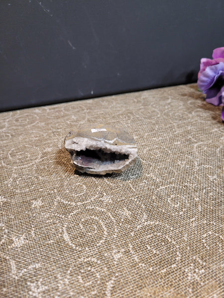 15047 April 19th 2025 Live